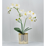 Декоративный искусственное растение Lush Orchid варинант исполнения - 2 | Loft Concept в Брянске