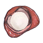 Сет из 4-х тарелок «QARTZITE» варинант исполнения - 5 | Loft Concept в Брянске