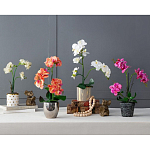 Декоративный искусственное растение Pink orchid варинант исполнения - 11 | Loft Concept в Брянске