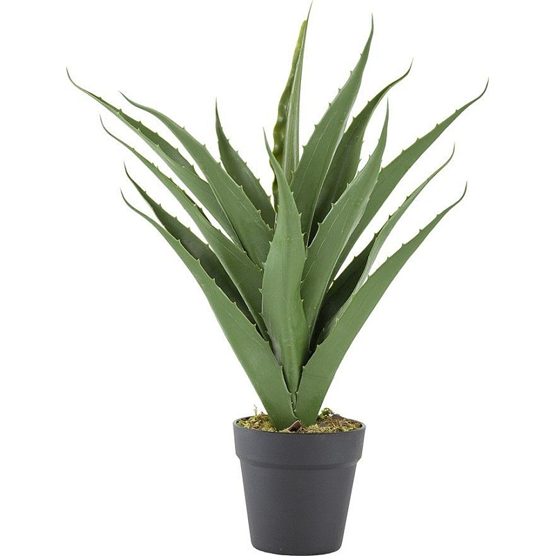 Декоративный искусственное растение Medium Aloe Зеленый Черный Декоративный искусственное растение Medium Aloe Зеленый Черный в Брянске | Loft Concept