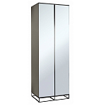 Двухдверный шкаф с зеркальными дверцами Strict Lines варинант исполнения - 1 | Loft Concept в Брянске