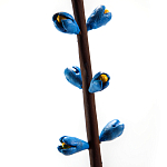 Синий экзотический фрукт статуэтка для интерьераTropical Fruit Pandora 9 варинант исполнения - 2 | Loft Concept в Брянске