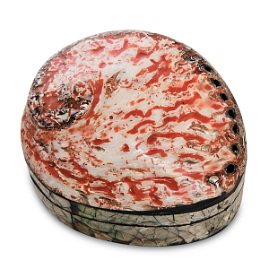 Шкатулка Shell Box