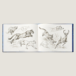 Лимитированная подарочная книга HERMES Fierce and Fragile book, English version варинант исполнения - 4 | Loft Concept в Брянске