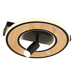 Потолочный светильник круглый GAVIN WOOD варинант исполнения - 1 | Loft Concept в Брянске