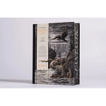 Книга Fantastic Gustave Dore варинант исполнения - 3 | Loft Concept в Брянске