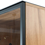 Шкаф Condition варинант исполнения - 3 | Loft Concept в Брянске