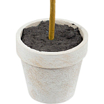 Декоративный искусственное растение Boxwood One варинант исполнения - 3 | Loft Concept в Брянске