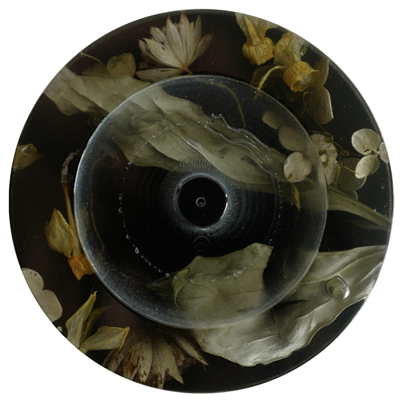 Круглая подставка под благовония из эпоксидной смолы с цветами черная Epoxy Resin Flowers Incense Stand Black Черный Круглая подставка под благовония из эпоксидной смолы с цветами черная Epoxy Resin Flowers Incense Stand Black Черный в Брянске | Loft Concept