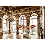 Коллекционный Арт-альбом Murakami Versailles 2011 Букинистика варинант исполнения - 3 | Loft Concept в Брянске