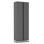 Двухдверный шкаф цвета графит Strict Lines варинант исполнения - 1 | Loft Concept в Брянске