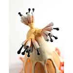 Статуэтка тропический фрукт Pandora Tropical Fruit Orange варинант исполнения - 3 | Loft Concept в Брянске