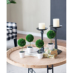 Декоративный искусственное растение Boxwood One варинант исполнения - 7 | Loft Concept в Брянске