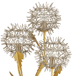 Торшер в виде цветка одуванчика Hanging Dandelion варинант исполнения - 1 | Loft Concept в Брянске