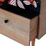 Шкаф с принтом Kario варинант исполнения - 3 | Loft Concept в Брянске