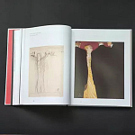 Подарочная Книга Rene gruau fashion illustration варинант исполнения - 11 | Loft Concept в Брянске