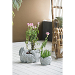 Кашпо A collection of baby rabbits варинант исполнения - 4 | Loft Concept в Брянске