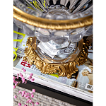 Чаша из прозрачного стекла с бронзовой подставкой и ручками Eden Garden варинант исполнения - 4 | Loft Concept в Брянске