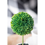 Декоративный искусственное растение Boxwood One варинант исполнения - 8 | Loft Concept в Брянске