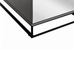 Двухдверный шкаф с зеркальными дверцами Strict Lines варинант исполнения - 4 | Loft Concept в Брянске