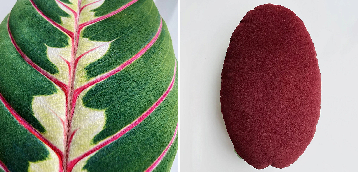 Декоративная подушка Botanical Cushion Maranta Trikolor Декоративная подушка Botanical Cushion Maranta Trikolor - Loft-Concept в Брянске