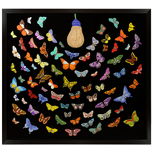 Картина ручная вышивка бисером Бабочки Butterflies and Light Bulb