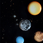 Блюдо Seletti Sun варинант исполнения - 6 | Loft Concept в Брянске