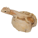 Статуэтка из дерева ящерица Animals of the World варинант исполнения - 2 | Loft Concept в Брянске