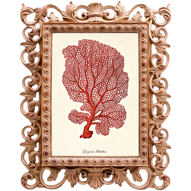 Постер Red Coral Poster 5 Бежевый Красный Постер Red Coral Poster 5 Бежевый Красный в Брянске | Loft Concept