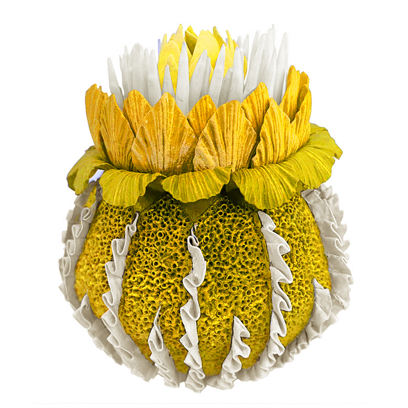 Желтый Экзотический фрукт Yellow Pandora Exotic Fruit  44 Желтый в Брянске | Loft Concept 