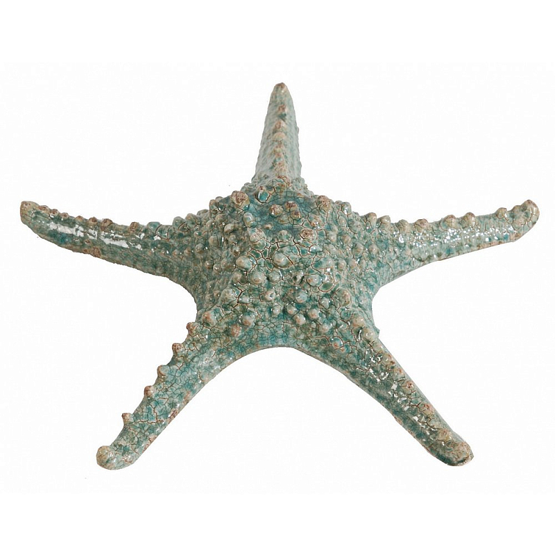 Аксессуар Starfish Бирюзовый Серый Аксессуар Starfish Бирюзовый Серый в Брянске | Loft Concept