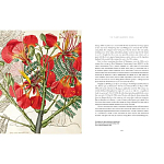 Прекрасно иллюстрированная книга более 100 ботанических произведений Plant Hunters Atlas варинант исполнения - 5 | Loft Concept в Брянске