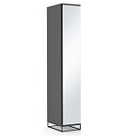 Шкаф-пенал с зеркальной дверцей и фасадом цвета графит Strict Lines варинант исполнения - 2 | Loft Concept в Брянске