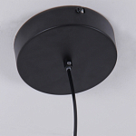 Люстра подвесная светодиодная черный металл Ring Horizontal варинант исполнения - 6 | Loft Concept в Брянске