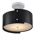 Потолочный светильник круглый светодиодный Semicircular White Panels чёрный варинант исполнения - 2 | Loft Concept в Брянске