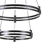 Люстра светодиодная с 2-мя плафонами в форме колец из акрила и алюминия с пультом для регулировки света Ring Horizontal Black варинант исполнения - 1 | Loft Concept в Брянске
