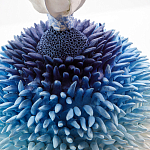 Статуэтка Синий тропический фрукт Tropical Fruit Pandora 4 варинант исполнения - 1 | Loft Concept в Брянске