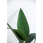 Декоративный искусственное растение Decor Stile  варинант исполнения - 2 | Loft Concept в Брянске