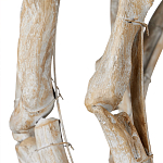 Люстра круглая в виде веток деревьев Natural Driftwood варинант исполнения - 3 | Loft Concept в Брянске