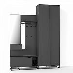 Двухдверный шкаф цвета графит Strict Lines варинант исполнения - 4 | Loft Concept в Брянске