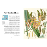 Прекрасно иллюстрированная книга более 100 ботанических произведений Plant Hunters Atlas варинант исполнения - 3 | Loft Concept в Брянске