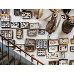 Книга Extraordinary Collections: French Interiors варинант исполнения - 11 | Loft Concept в Брянске