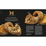 Книга Treasures of India From Antiquity to Modernity варинант исполнения - 3 | Loft Concept в Брянске