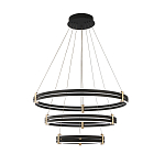 Люстра светодиодная с 3-мя плафонами в форме колец из акрила и алюминия с пультом для регулировки света Ring Horizontal Anthracite варинант исполнения - 6 | Loft Concept в Брянске