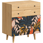Комод с принтом на ящиках Elise Chest of Drawers варинант исполнения - 2 | Loft Concept в Брянске