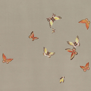 Обои ручная роспись Butterflies Echo on dyed paper