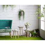 Кашпо Curly baby варинант исполнения - 3 | Loft Concept в Брянске