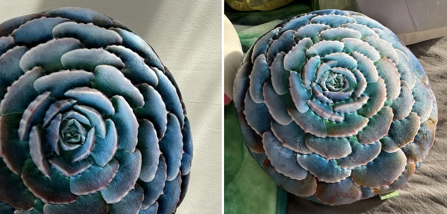 Декоративная подушка Botanical Cushion Succulentus Декоративная подушка Botanical Cushion Succulentus - Loft-Concept в Брянске