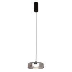 Подвесной светильник Blanton smoky 23 варинант исполнения - 2 | Loft Concept в Брянске