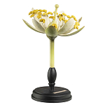 Статуэтка Tilia варинант исполнения - 2 | Loft Concept в Брянске